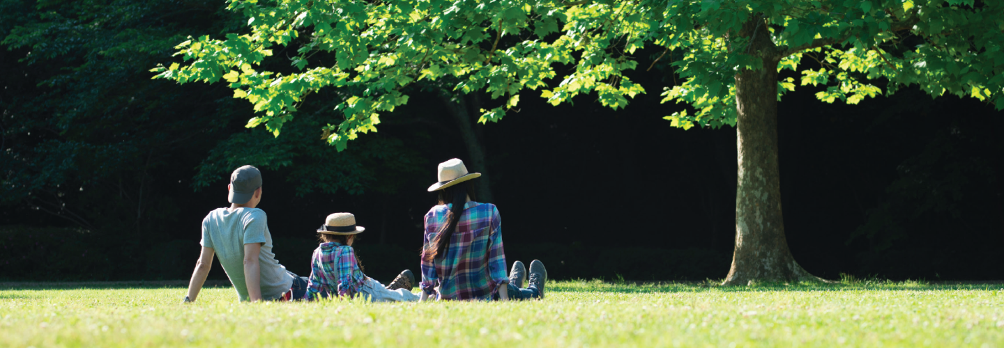 sitting-on-park